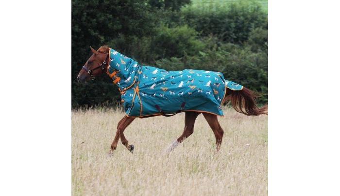 dogs print 200g combo turnout rug