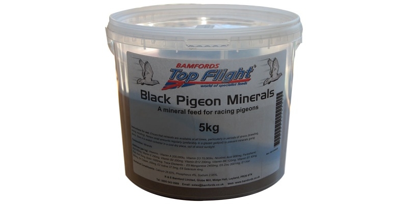 black pigeon minerals