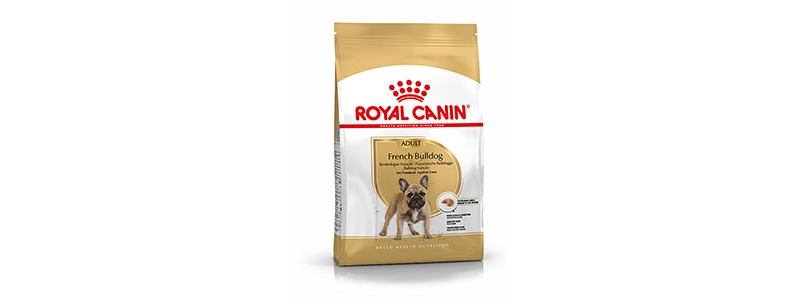 royal canin french bulldog food
