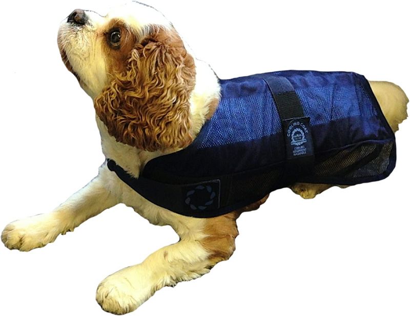 Animate Dog Cooling Coat