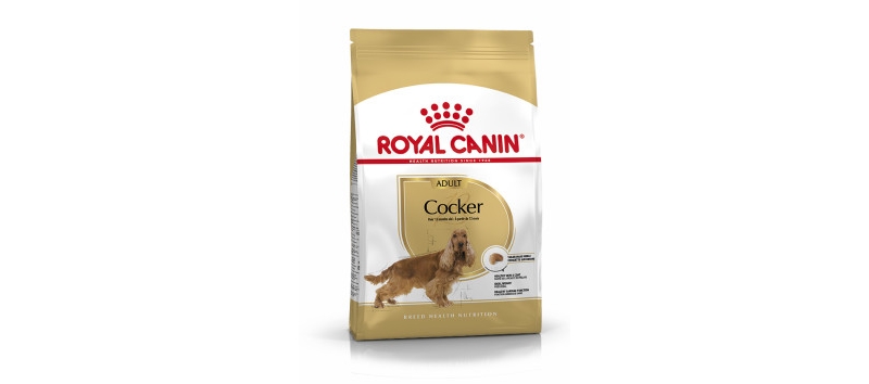 royal canin cocker spaniel adult dog food