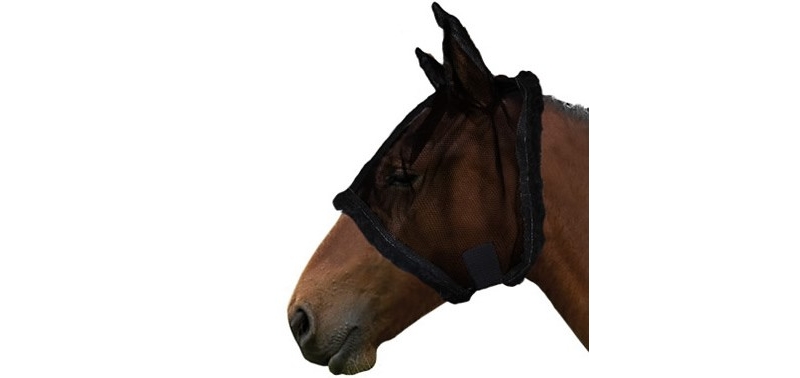 gallop horse fly mask
