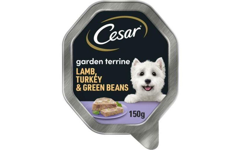 cesar garden terrine wet dog food with juicy lamb and turkey and green beans in loaf - 14 x 150g