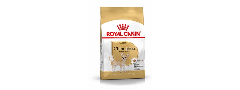 royal canin chihuahua dog food