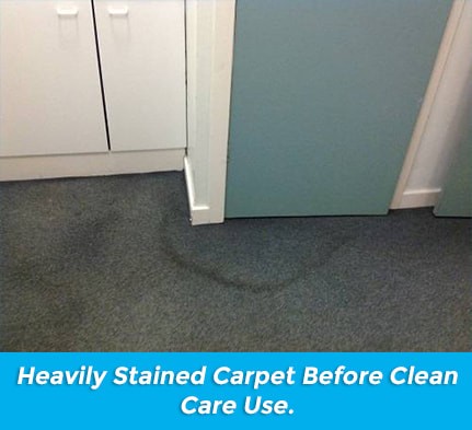 Carpet Cleaner - Clean Care Shield 