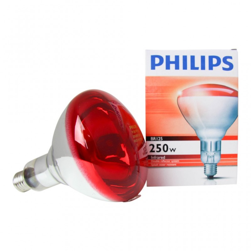 Heatlamp Infrared Bulb Philips 250w Clear or 
