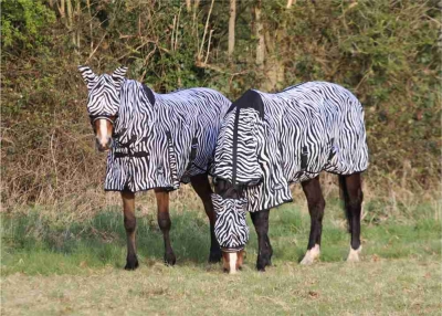 all in one - zebra horse fly rug