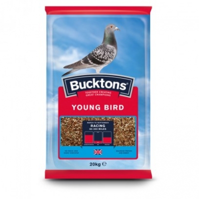 bucktons young bird racing pigeon - 2-kg