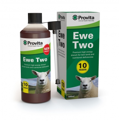 provita ewe two energy drench - 500ml