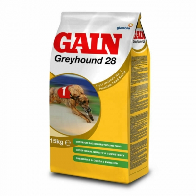 gain 28 greyhound