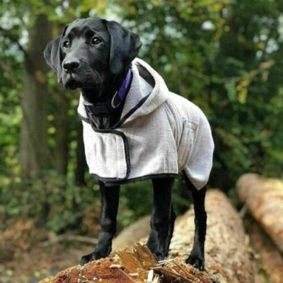 Professional Dog Groom Microfibre Towelling Drying Coat Fast Drying - 3 Sizes