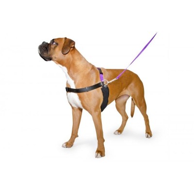 Ancol Pure Dog Listeners Ultimate Happy at Heel Harness & Lead