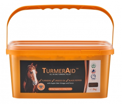 turmeraid™ - complete turmeric pellet