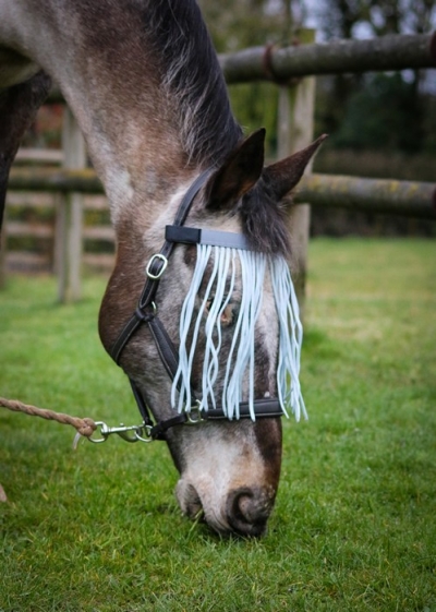 gallop horse fly fringe - one size