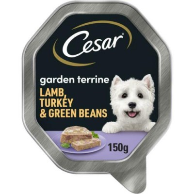 cesar garden terrine wet dog food with juicy 