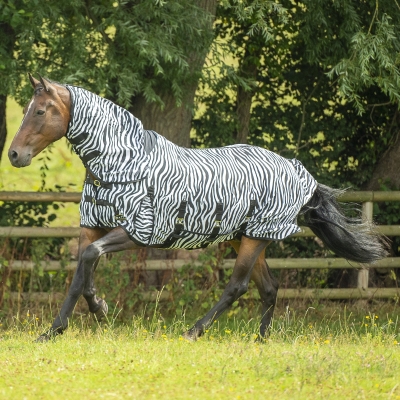 gallop zebra combo fly horse rug